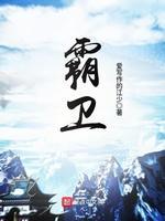 霸卫封面