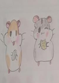 柠檬汽水封面