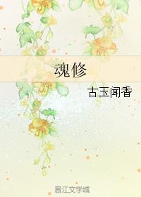 魂修封面