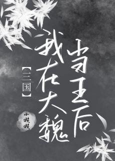 [三国]我在大魏当王后封面