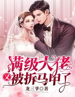 满级大佬又被拆马甲了封面