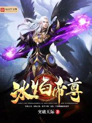 冰焰帝尊封面