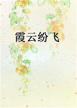 霞云纷飞封面