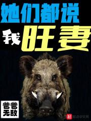 她们都说我旺妻封面
