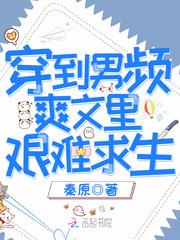 苏叶夙倾封面