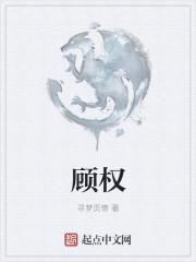 顾权封面