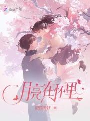 月亮在怀里祁月顾淮封面