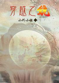 穿越之镜封面