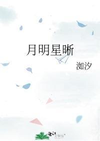 月明星晰封面