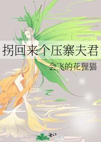 拐回来个压寨夫君封面