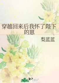 穿越回来后我怀了陛下的崽封面