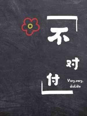 不对付封面