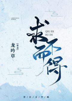 求而不得封面