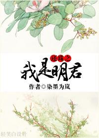 还珠之我是明君封面