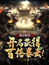 领主时代：我召唤的全是华夏名将夏宇林珠封面