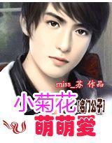 名门公子③:小菊花,萌萌爱封面