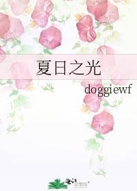 夏日之光封面