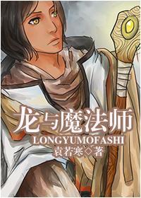 龙与魔法师封面