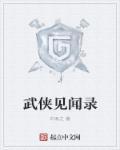 武侠见闻录封面