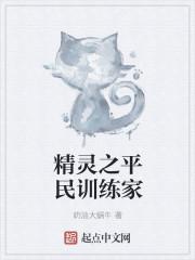 精灵之平民训练家封面