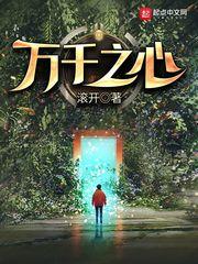 我的武道模拟器封面
