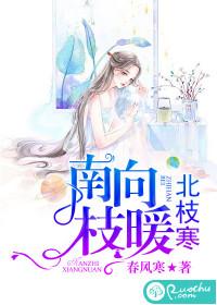 南枝向暖北枝寒封面
