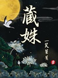 藏姝封面