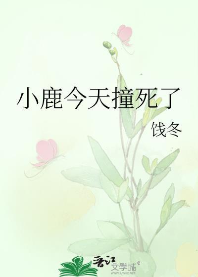 小鹿今天撞死了封面