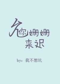 允你姗姗来迟封面