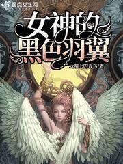 女神的黑色羽翼封面