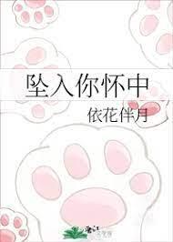 坠入你怀中封面