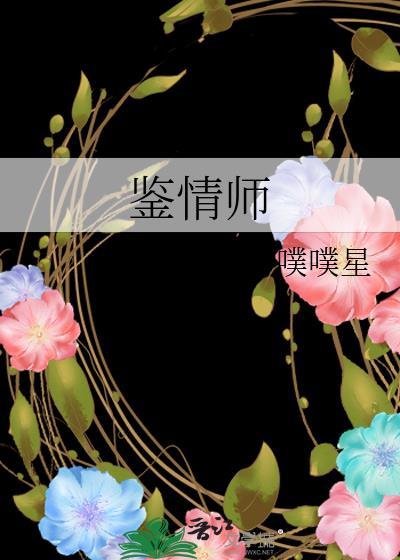 鉴情师封面