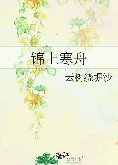 锦上寒舟封面