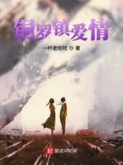 铜罗镇爱情封面