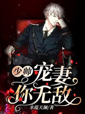 少帅，宠妻你无敌！封面
