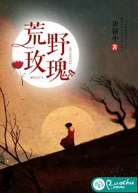 荒野玫瑰封面
