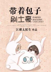带着包子刷土豪封面