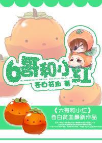 6哥和小红封面