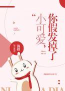 小可爱,你假发掉了封面