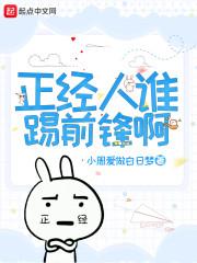正经人谁踢前锋啊封面