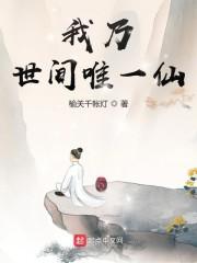 我乃世间唯一仙封面