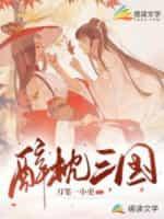 醉枕三国封面