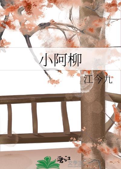 小阿柳封面