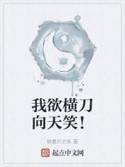 我欲横刀向天笑！封面