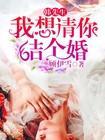 韩先生，我想请你结个婚封面