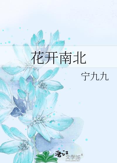 花开南北封面