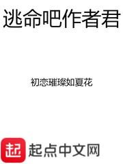 母上攻略封面