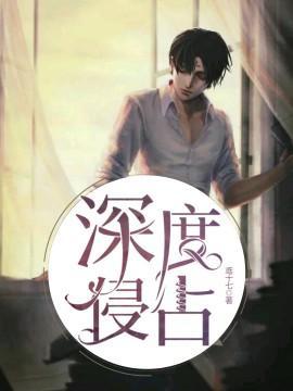 深度侵占封面