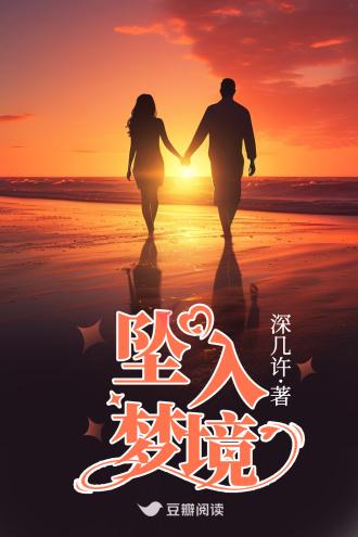 坠入梦境封面