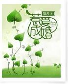 总裁惹爱成婚封面
